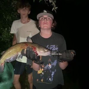 Meet your Posher, Reece